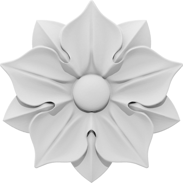Primary Image