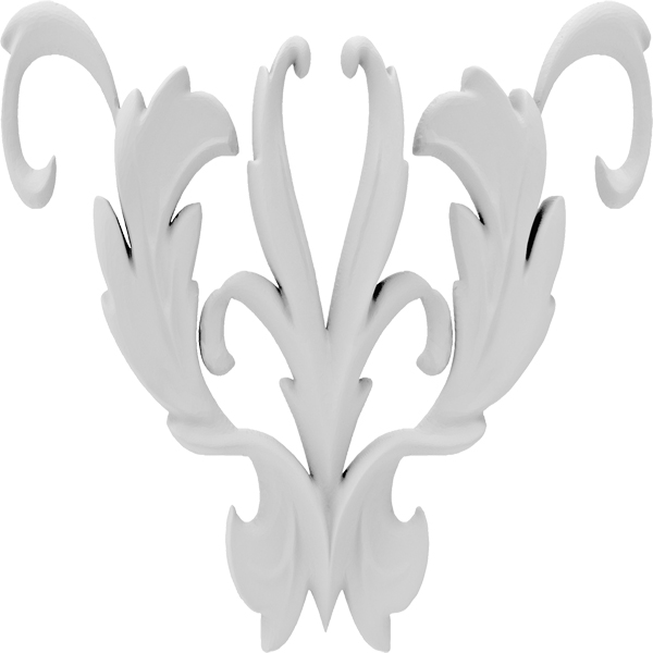 Primary Image