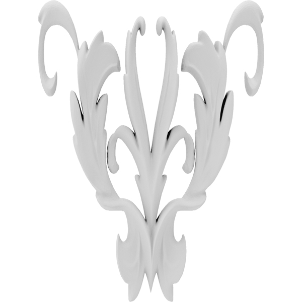 Primary Image