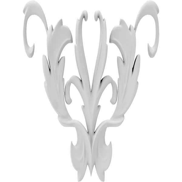 Primary Image