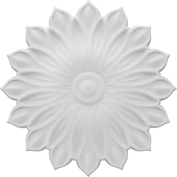 Primary Image