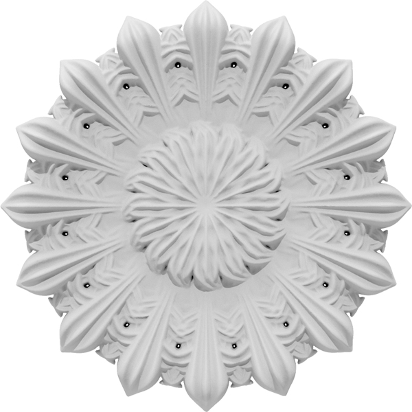 Primary Image