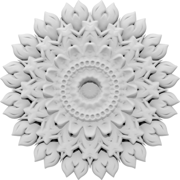 Primary Image