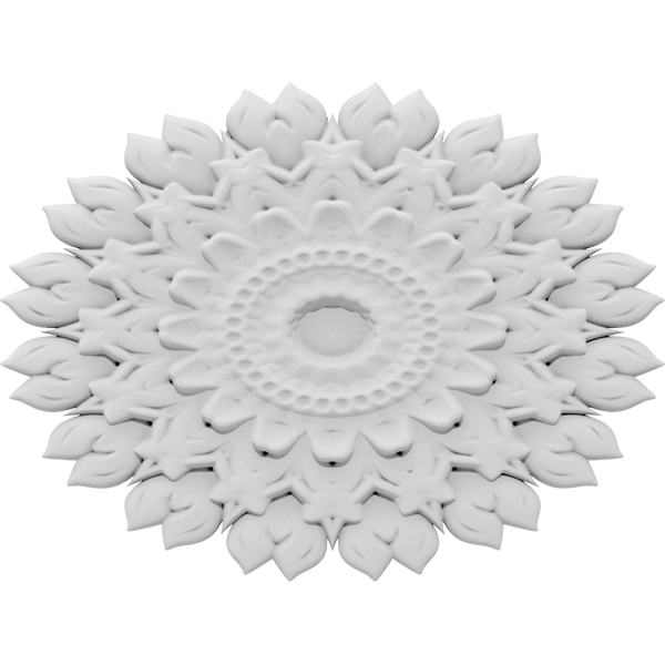 Primary Image