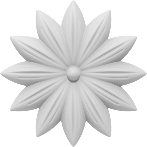 Primary Image