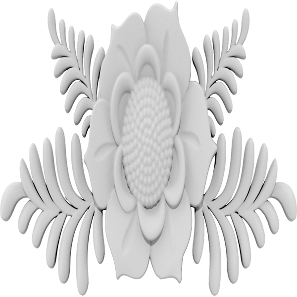 Primary Image
