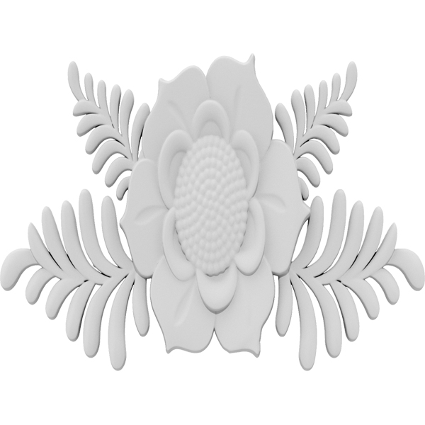 Primary Image
