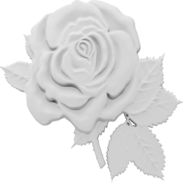 Primary Image