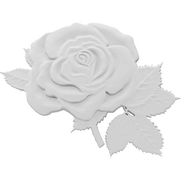 Primary Image