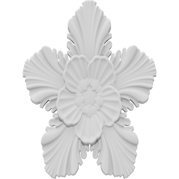 Primary Image