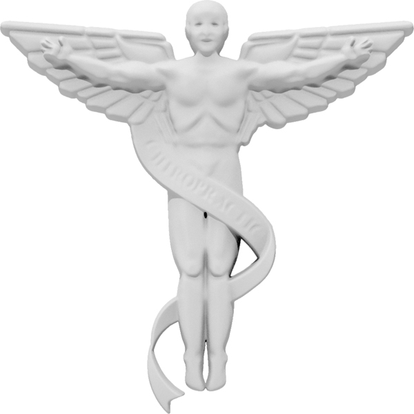 Primary Image