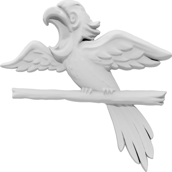 Primary Image