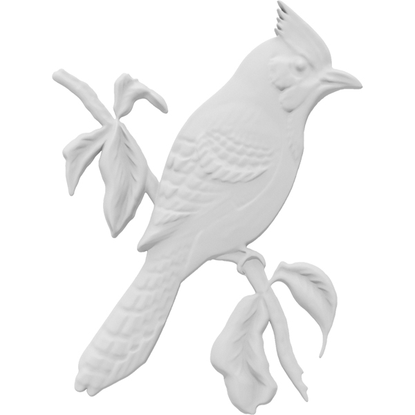 Primary Image