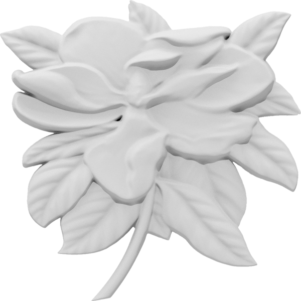 Primary Image