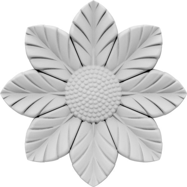 Primary Image