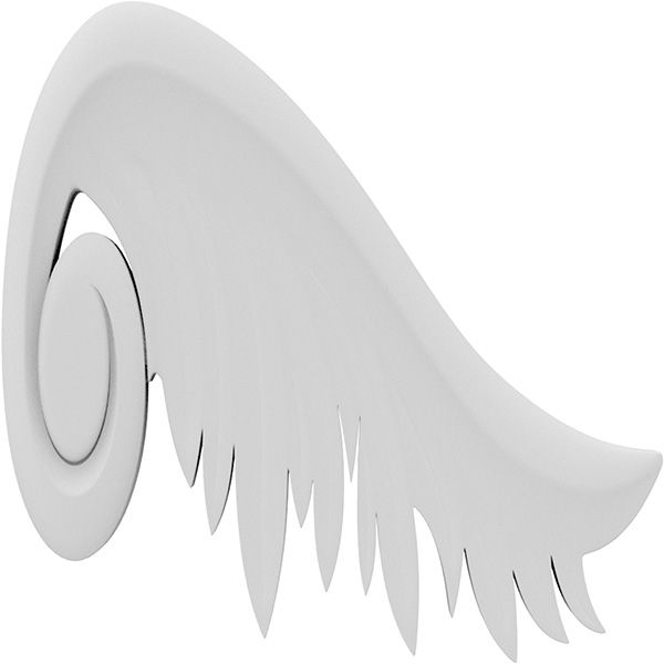Primary Image